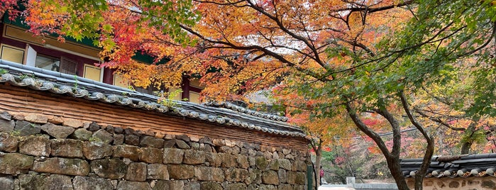 Naejangsan National Park is one of South Korea's mountains.