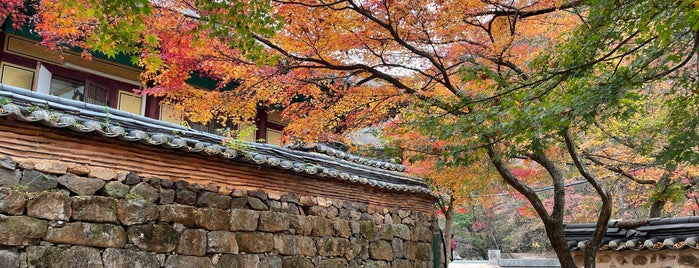 내장산국립공원 is one of 3 days southern parts.