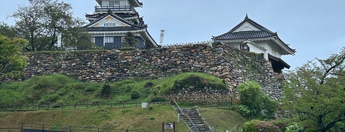 Hamamatsu Castle is one of 百名城以外の素晴らしいお城.