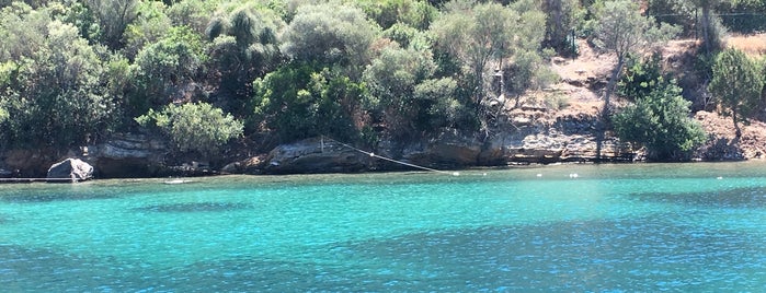 Hattat Palmiye Koyu is one of Lieux qui ont plu à Ahmet Sami.