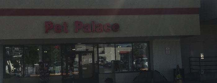 Pet Palace is one of Locais curtidos por Curt.