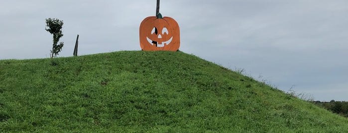 Papa's Pumpkin Patch is one of Mt. Pleasant.