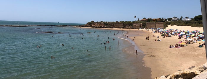 Playa de la Muralla is one of Cadiz.