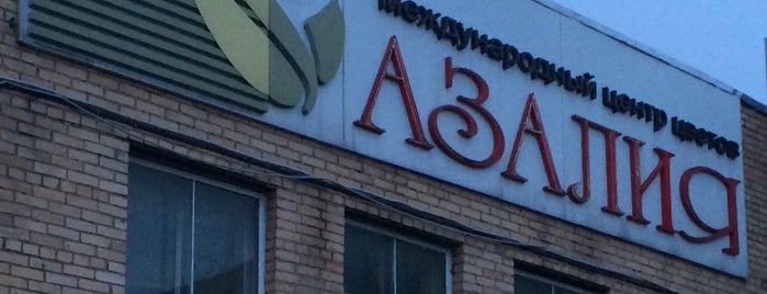 Азалия is one of Москва.