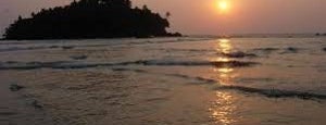 Pathiramanal Island is one of Explore the Best Islands of Kerala.