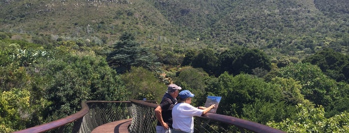 Centenary Tree Canopy Walkway (Boomslang) is one of south africa.