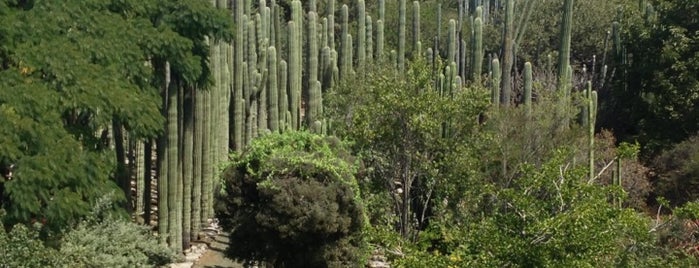 Jardin Etnobotanico De Oaxaca is one of Benito Recommends.