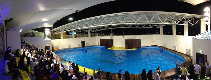 Fakieh Aquarium is one of Jeddah.