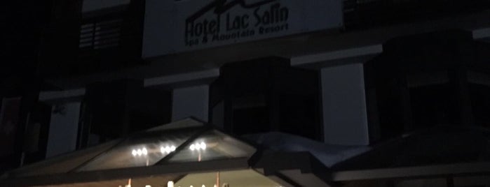 Hotel Lac Salin SPA & Mountain Resort is one of Ho suonato qui.