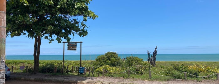 Praia da Baleia is one of Consultorio.