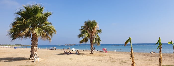 Rikko's Beach is one of Paphos.