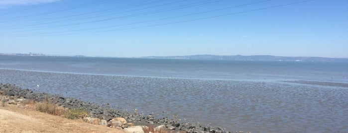 Bay Trail - San Mateo is one of South Bay.