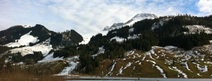 Schwarzsee is one of สถานที่ที่ Maŗċ ถูกใจ.