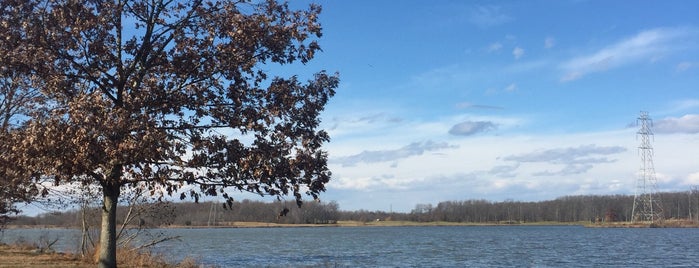 Gazebo at Lake Mercer is one of Orte, die Julie gefallen.