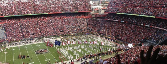 Williams-Brice Stadium is one of NCAA Division I FBS Football Stadiums.