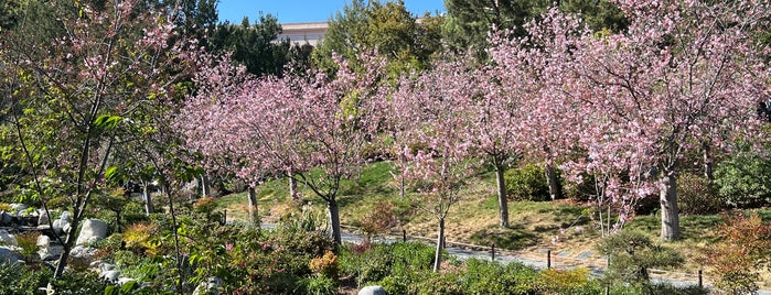 Japanese Friendship Garden is one of SD.