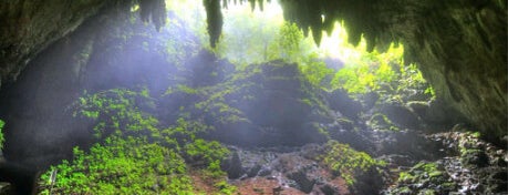 Las Cavernas del Rio Camuy is one of Places I visited while in Puerto Rico.