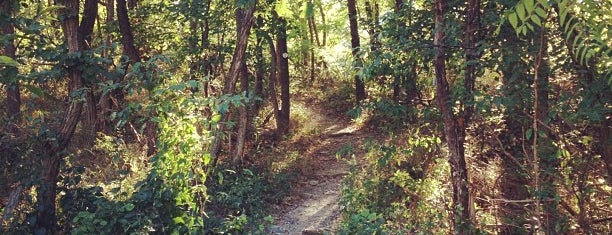 Bull Hill Trail is one of Lower NY Hikes.