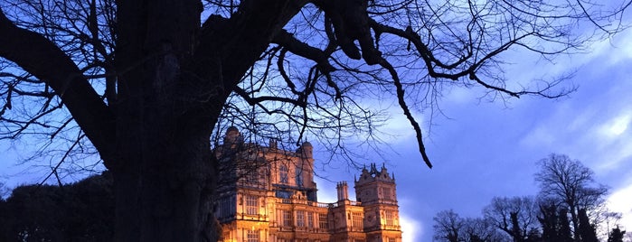 Wollaton Hall & Deer Park is one of Someday... Abroad.