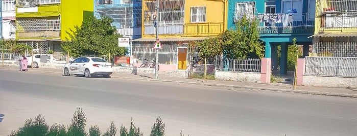 Sizin Börekçi is one of Volkan : понравившиеся места.