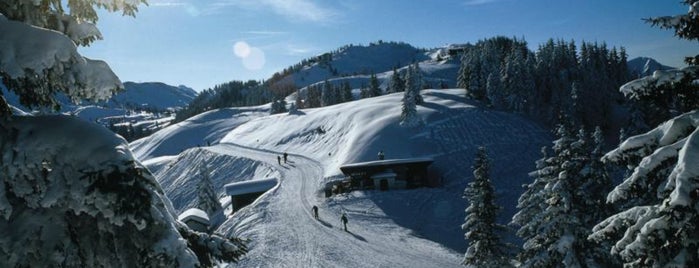 Hahnenkamm is one of Austria #4sq365at Oans (One).
