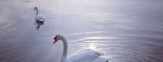 Berkeley Island County Park is one of Julie's things to do.