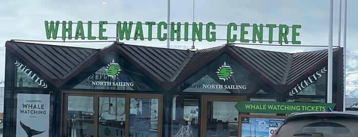 Whale Watching Centre is one of Iceland.