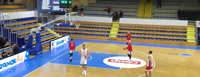 Tiszaligeti Sportcsarnok is one of Csarnokok.