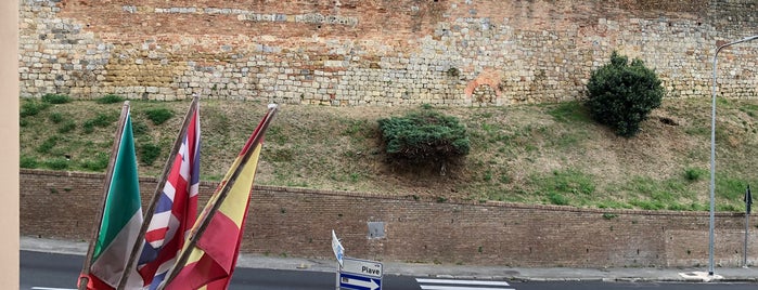 Bed & Breakfast Camollia is one of 2013 Italien Siena Palio.