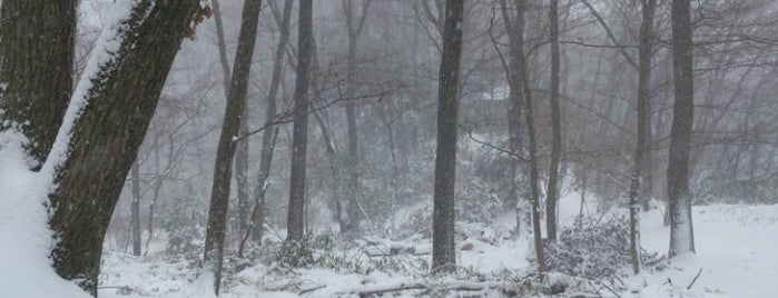 都立七生公園 is one of Sigeki 님이 좋아한 장소.