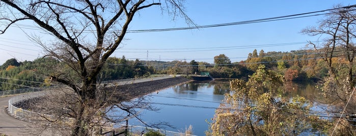 早川ダム is one of 日本のダム.