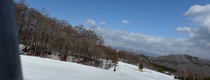 Hunter Mountain Shiobara is one of スキー場.