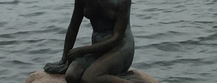 Die Kleine Meerjungfrau is one of Копенгаген.