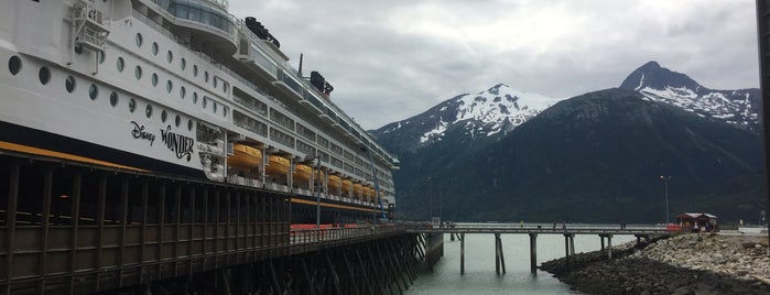 Disney Wonder is one of Tempat yang Disukai Maria Jose.