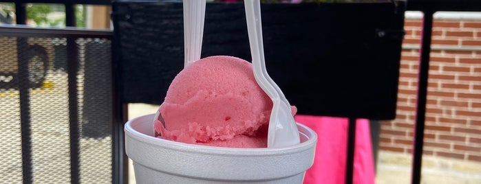 Annette's Homemade Italian Ice is one of Chicago (Never been).
