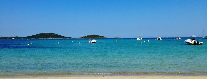 été En Corse Du Sud Porto Vecchio