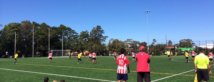 Narrabeen Sports High is one of Tempat yang Disukai Antonio.