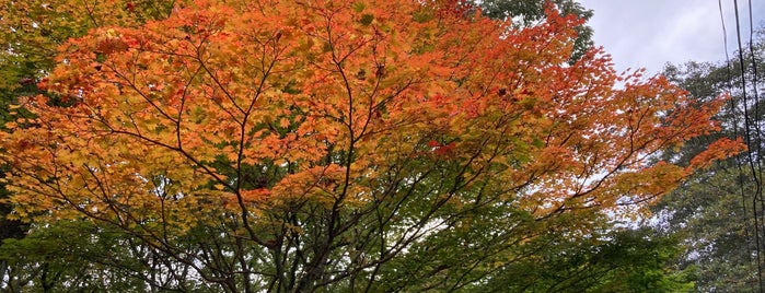 北茨城市家族キャンプ村花園オートキャンプ場 is one of 行きたいキャンプ場.