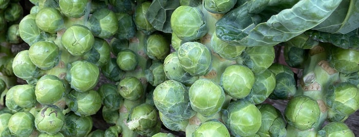 Hall Farm Shop is one of N.Staffs./S.Chesh. food.