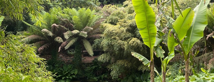 The Jungle is one of Trip JULY 2018.