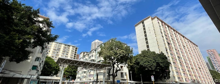 Fuk Loi Estate is one of 公共屋邨.