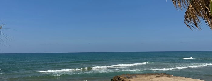 La Siesta Beach Resort is one of Beirut.