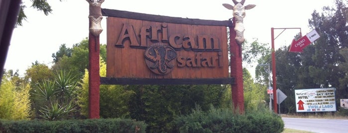 Africam Safari is one of Puebla for tourists.
