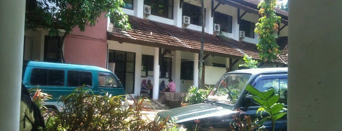 Departemen Konservasi Sumberdaya Hutan dan Ekowisata is one of Institut Pertanian Bogor.