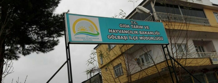 Gölbaşı Gıda Tarım ve Hayvancılık Müdürlüğü is one of สถานที่ที่ Murat ถูกใจ.