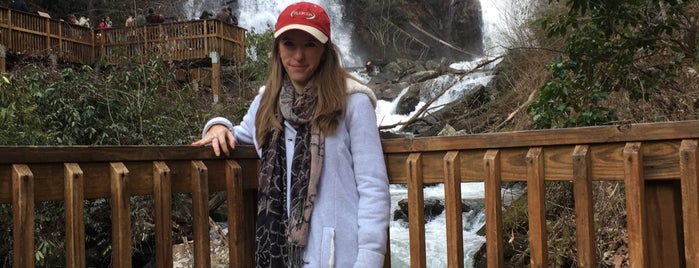 Anna Ruby Falls is one of GA To Do.