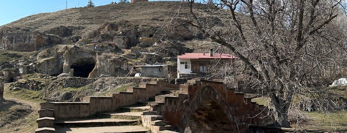 Ahlat Harabe Şehir is one of Bitlis.