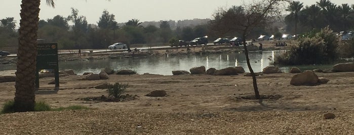 Wadi Hanifah - Stone Dam Park is one of My Riyadh.