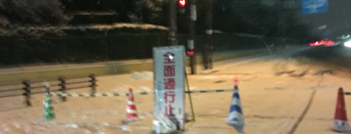 Recycling Plaza Ent. Intersection is one of 交差点.