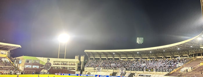 Estádio Doutor Adhemar Pereira de Barros (Arena da Fonte) is one of @famigliapalestr.